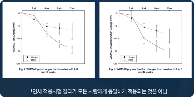 옵티머스트 효능