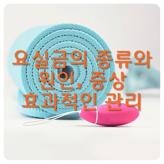 요실금의 종류와 원인, 증상, 효과적인 관리