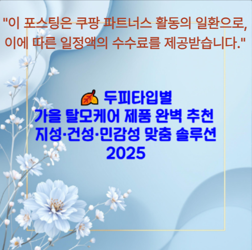 🍂 2025 두피타입별 가을 탈모케어 제품 완벽 추천 가이드