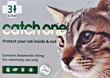 고양이-심장사상충-약-캐치원