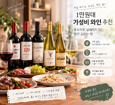 1만원대 가성비 와인 추천, 초보자도 실패하지 않는 와인 고르는 법