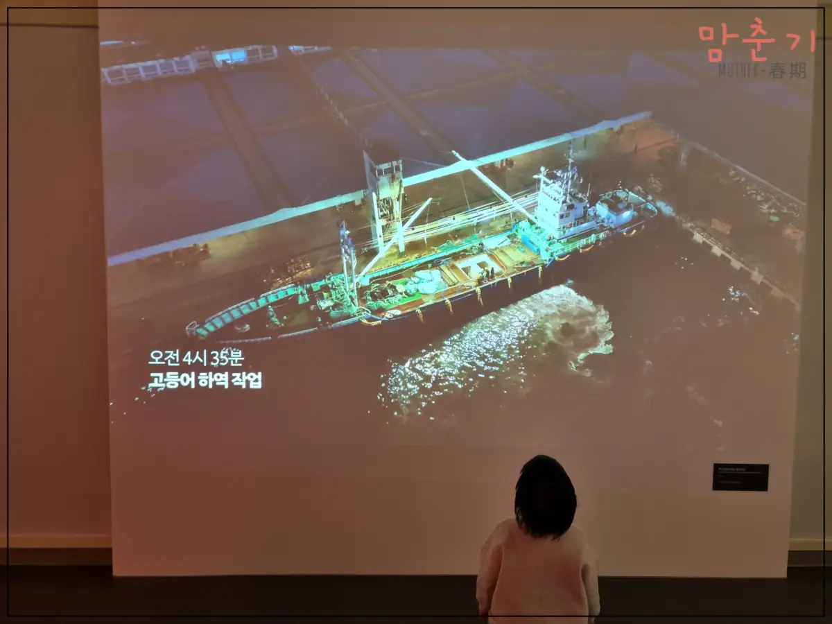 부산해양자연사박물관-고등어특별관-자갈치관련미디어-집중해서보는두돌아기