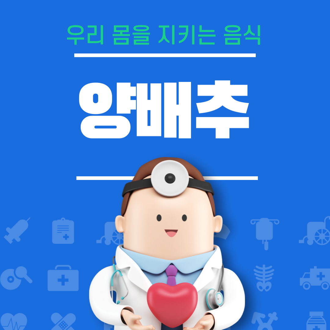 양배추 효능