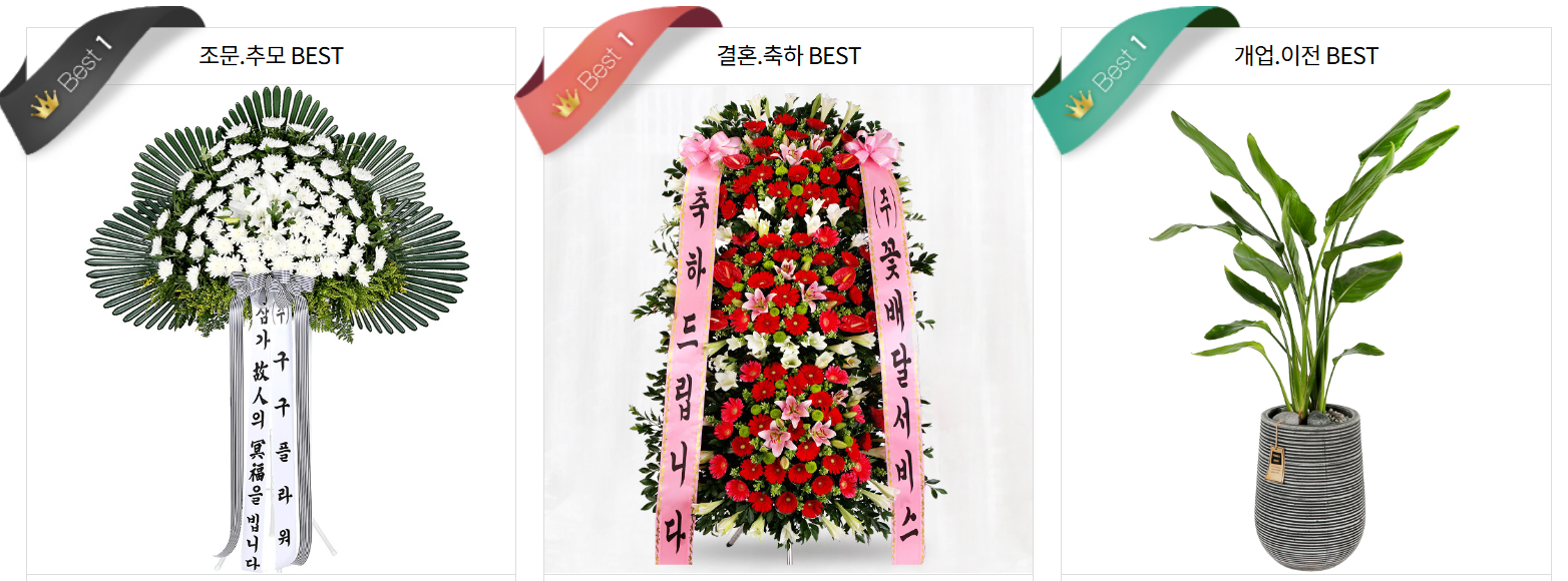 꽃 추천