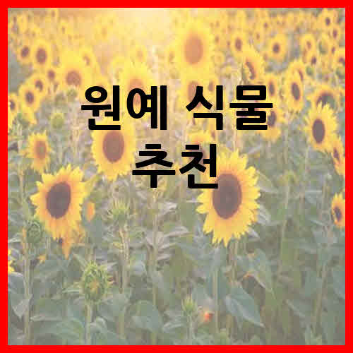 원예 식물 추천 해바라기