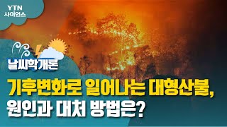 🔥 최근 산불 문제의 원인과 개선해야 할 산림정책