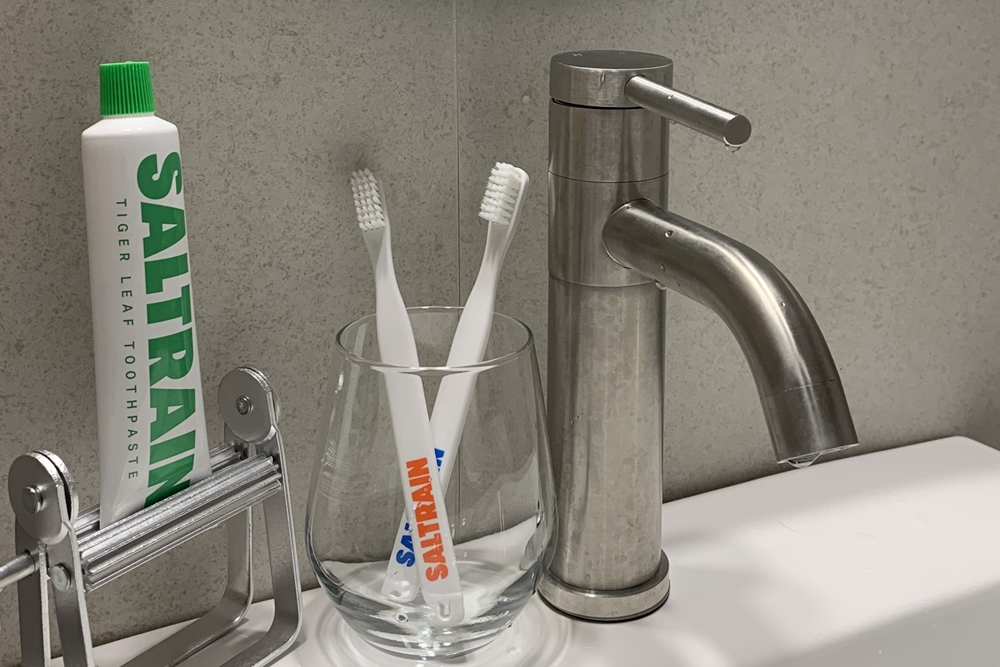 소금 치약 추천 후기 : 솔트레인 투스페이스트 가격 정보