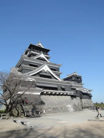 일본여행에서 구매한 빵 과자 기내반입 가능할까 기내반입금지 규정 완벽 안내_22