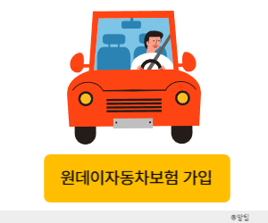 일일자동차보험