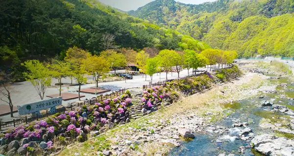 캠핑장 전경, 아직 텐트가 쳐지지 않은 모습