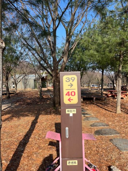 대청호 로하스캠핑장 사이트 추천