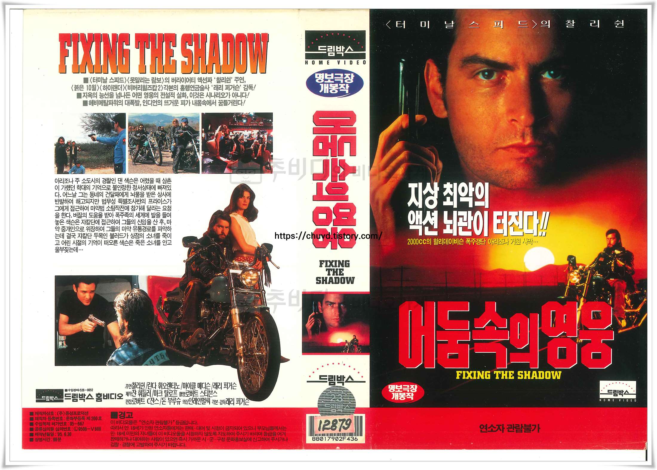 어둠 속의 영웅-비디오표지