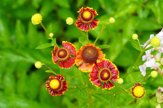 장마 예상 기간 2025년 바로 보기 19