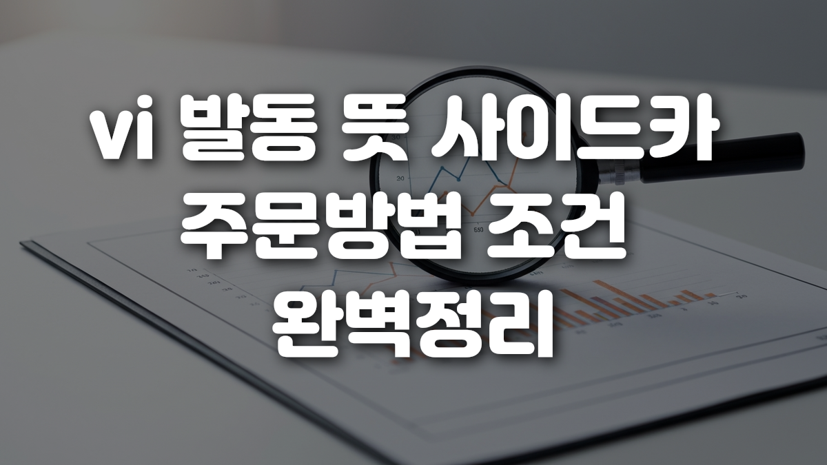 vi 발동 뜻 사이드카 주문방법 조건 완벽정리