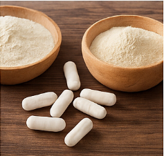 철갑상어 콘드로이친