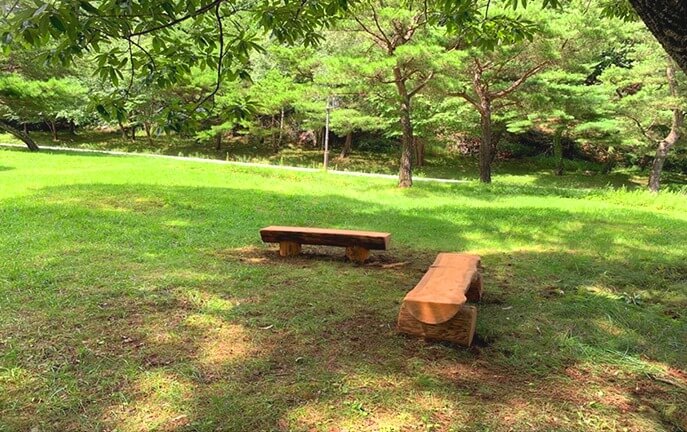 2025/2026 무주덕유산리조트 스키장 시즌권 렌탈 할인 완벽 가이드