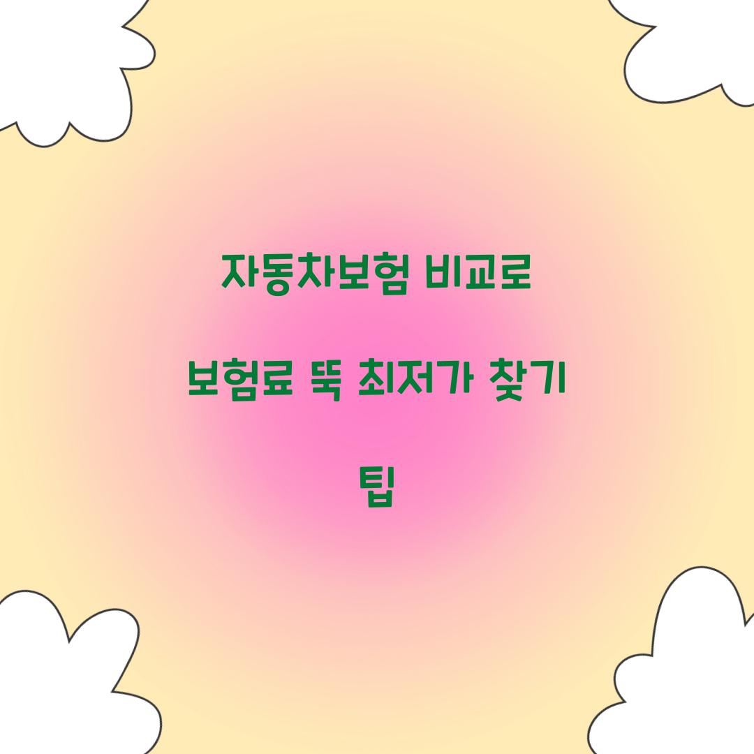 자동차보험 비교