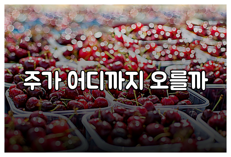 주가 어디까지 오를까