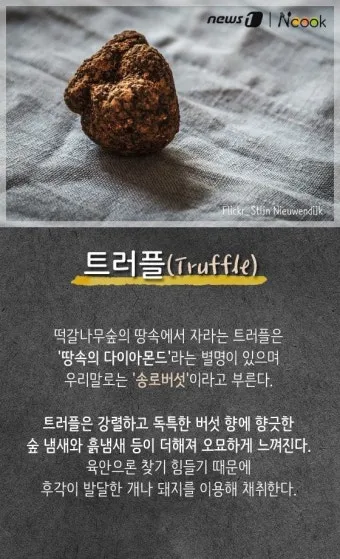 세계 3대 미식 국가 음식 문화와 대표 요리 정리_9