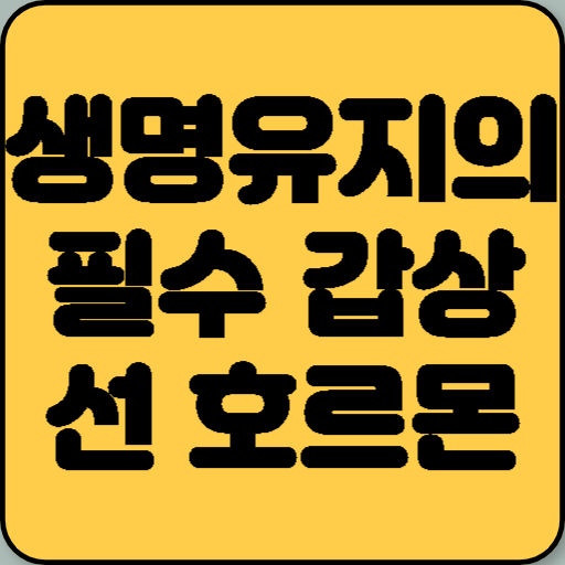 생명유지의 필수 갑상선 호르몬 면역세포에 가장 취약