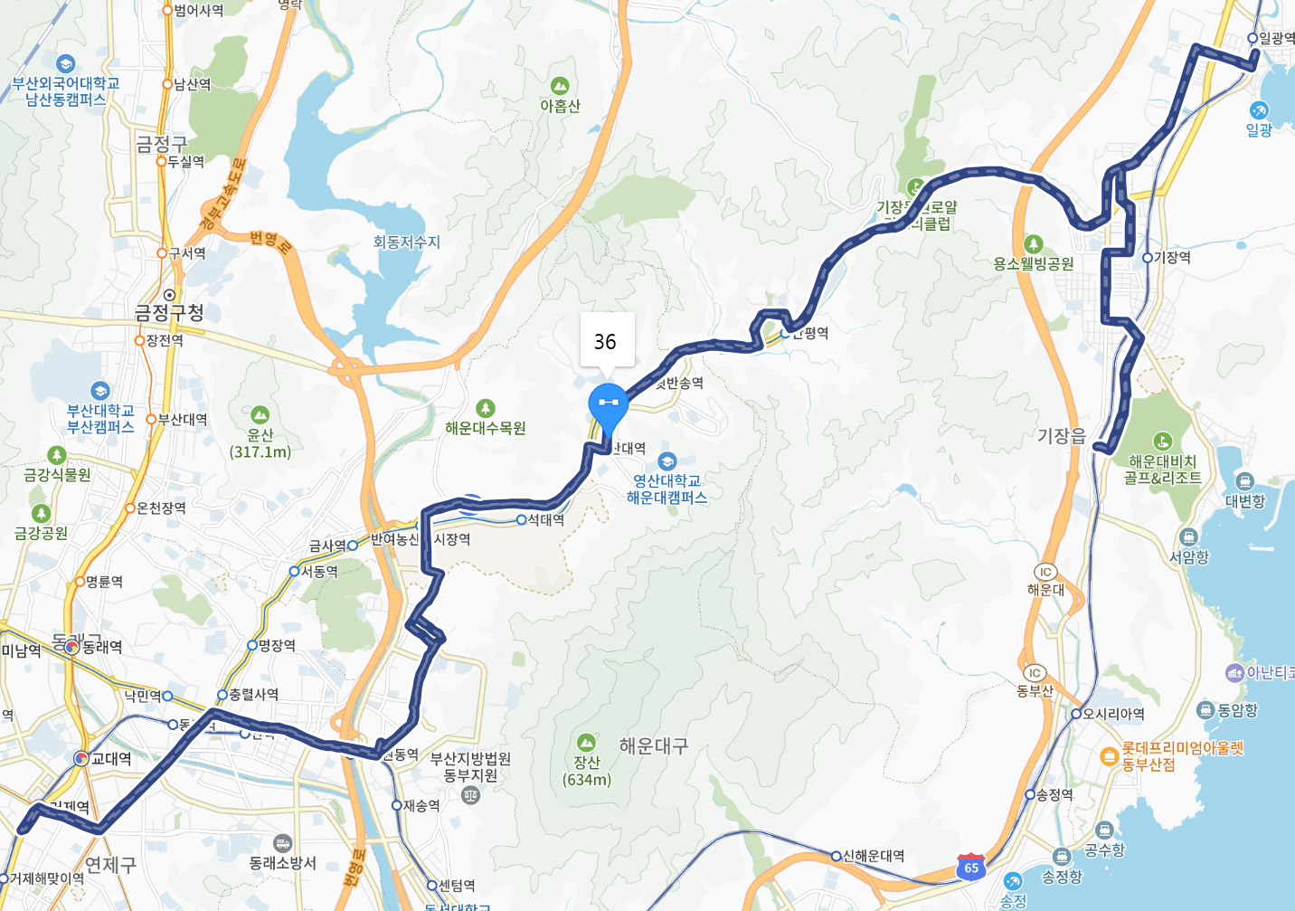 부산 36번 버스 전체 노선 지도