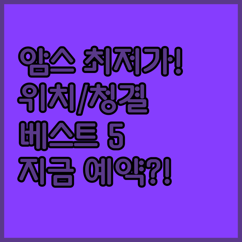 암스테르담 가성비 호텔 추천 베스트 ..