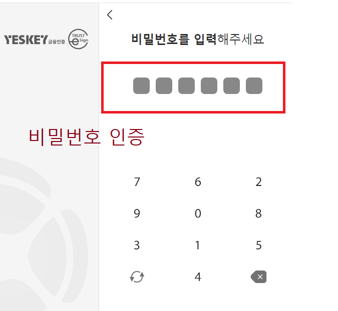 금융인증서 발급 방법
