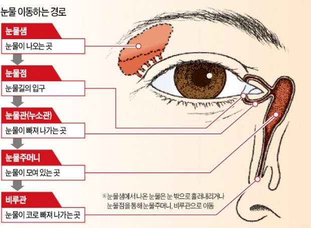 안구건조, 눈물샘