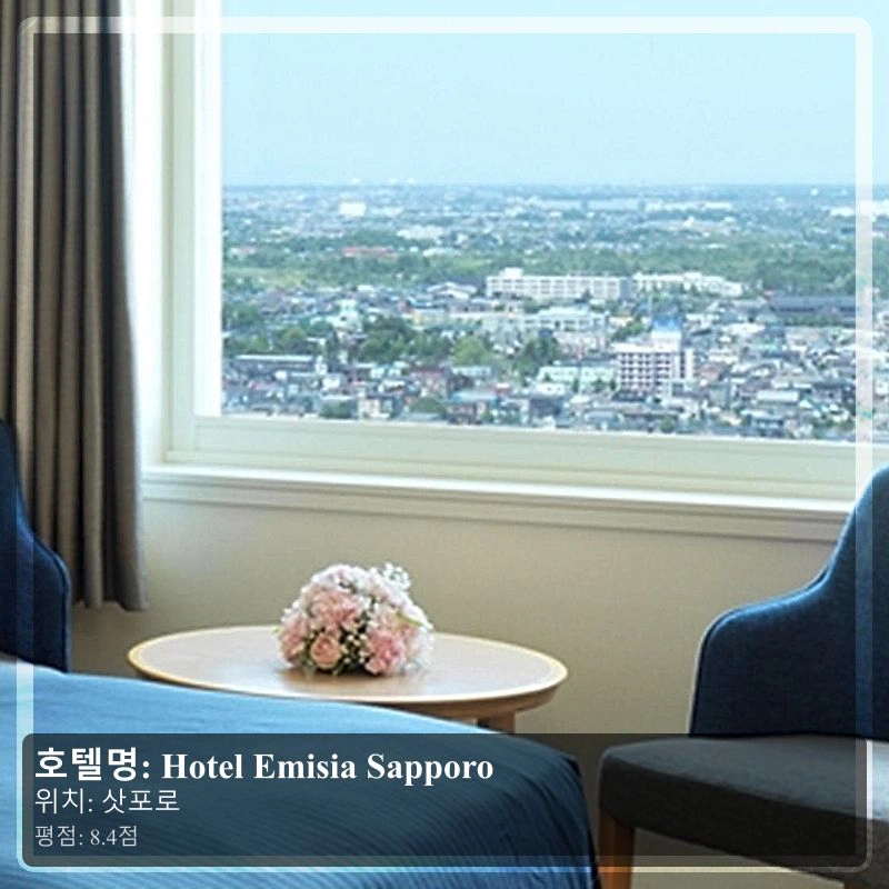 Hotel Emisia Sapporo_7