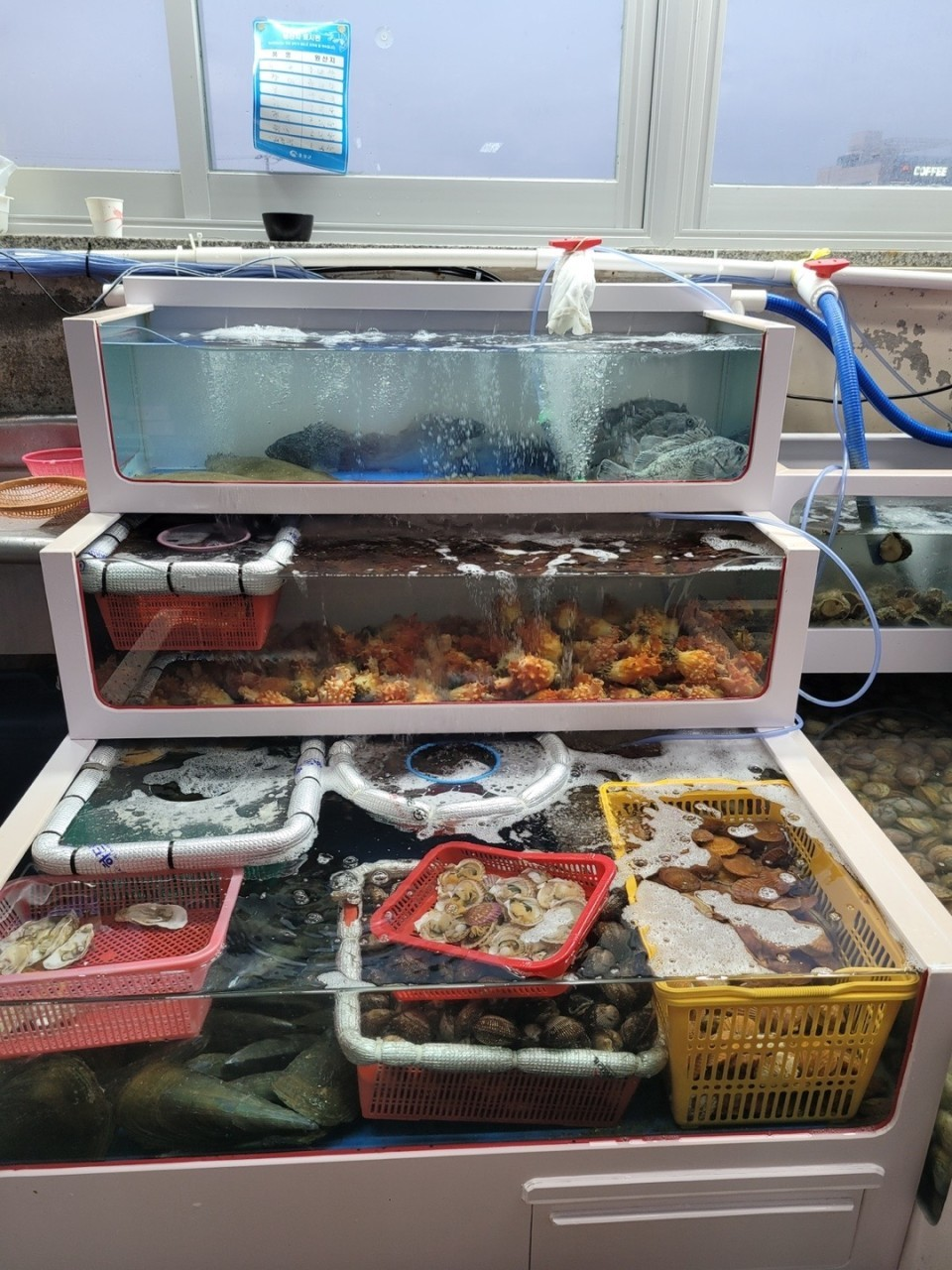 남당항 또오리회수산