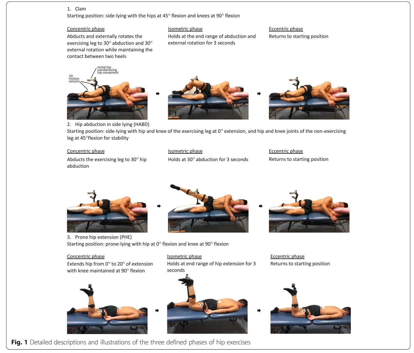 코어 운동 별 고관절 근육 측정 방법