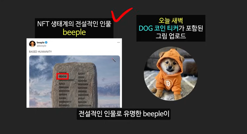 BRC-20 토큰과 비트코인 기반 코인: 사토시 코인의 급등 이유와 주요 토큰 소개 (룬즈, OrangeDX, Dog코인, Pups, ORDI)