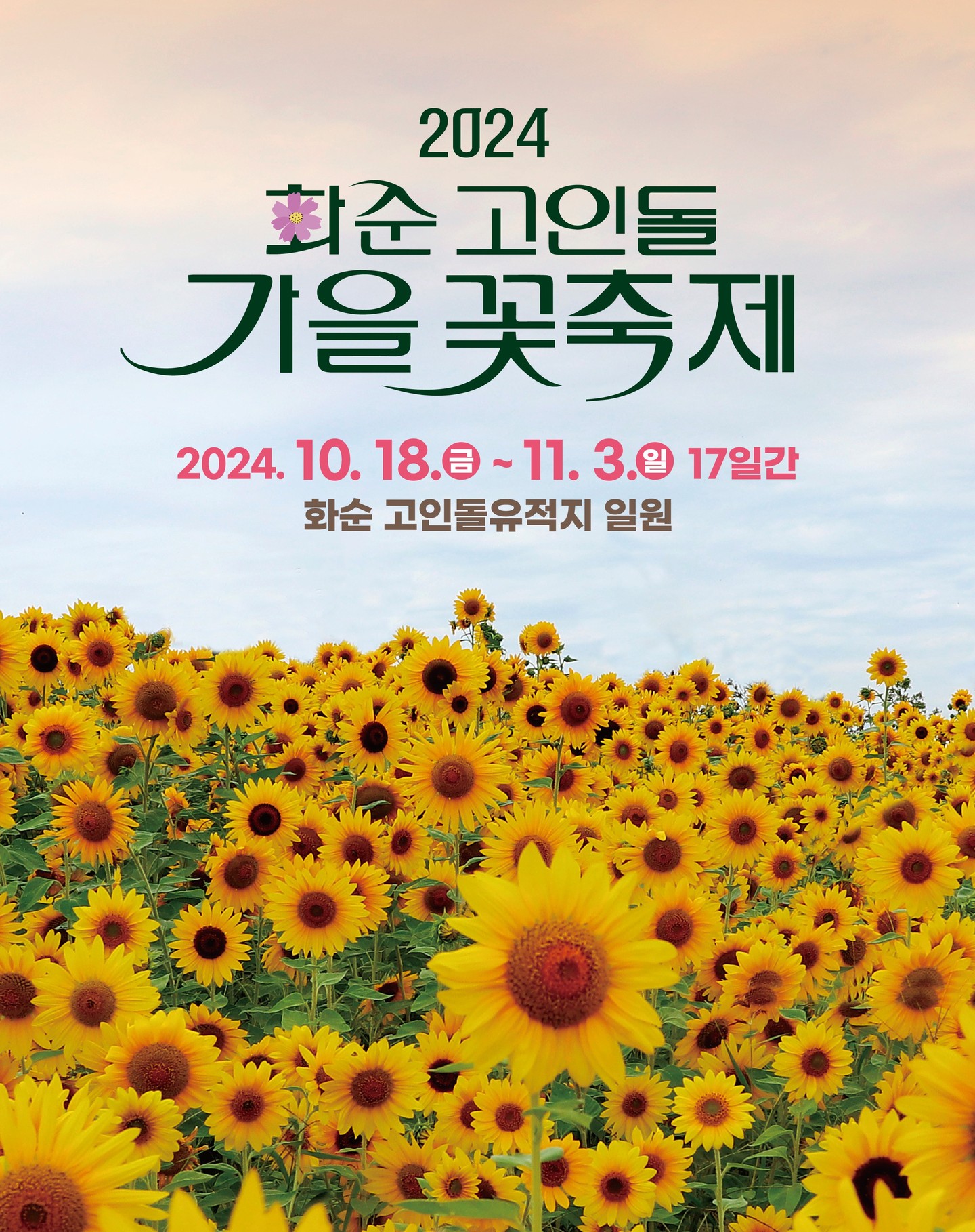 화순 고인돌 가을꽃 축제 안내