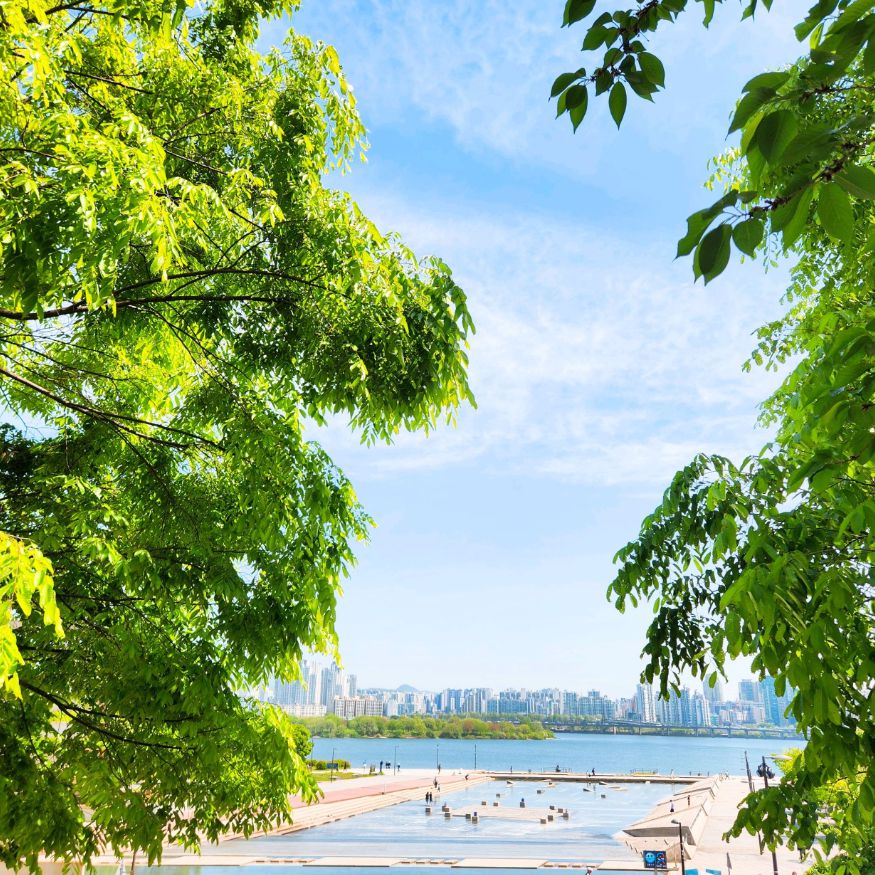 여의도물빛광장