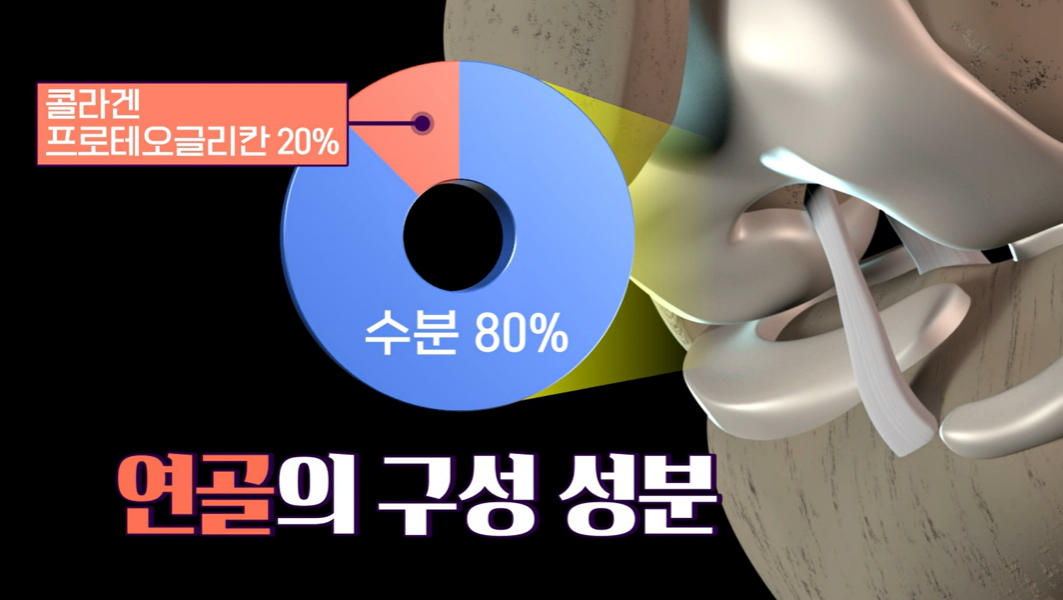 프로테오글리칸 효능