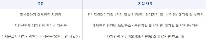 대체인력뱅크_지원내용