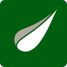 [Thymeleaf] 타임리프 특징과 기본 사용법