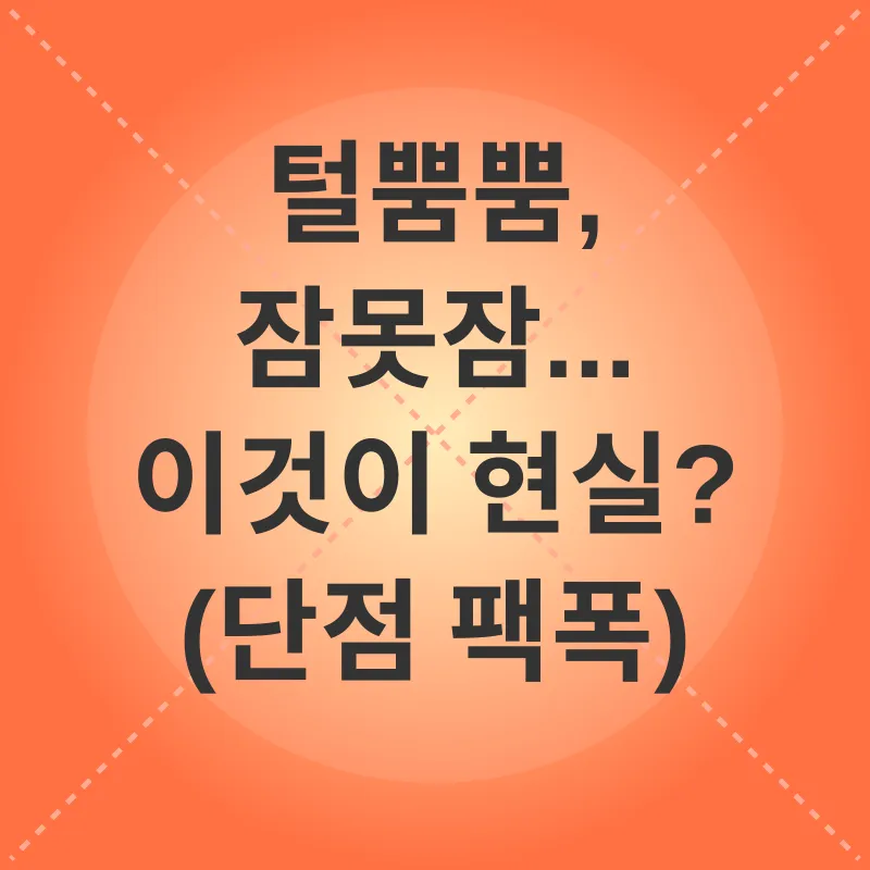 고양이 키우기_1