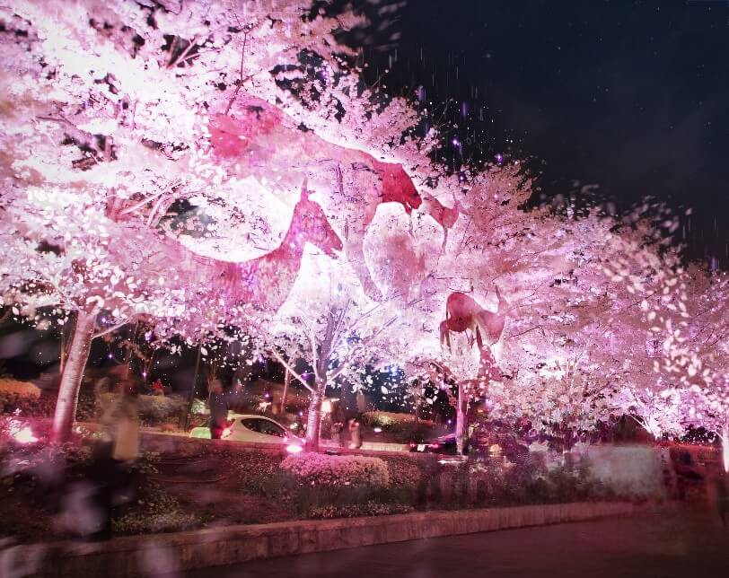 인천벚꽃명소베스트 인천대공원 벚꽃축제