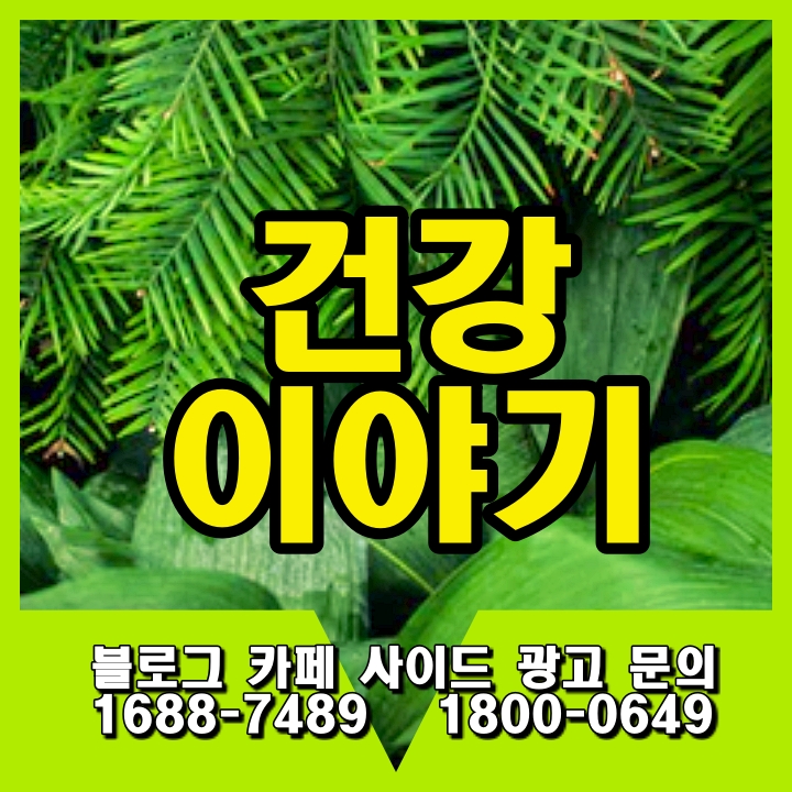 수면 뇌건강
