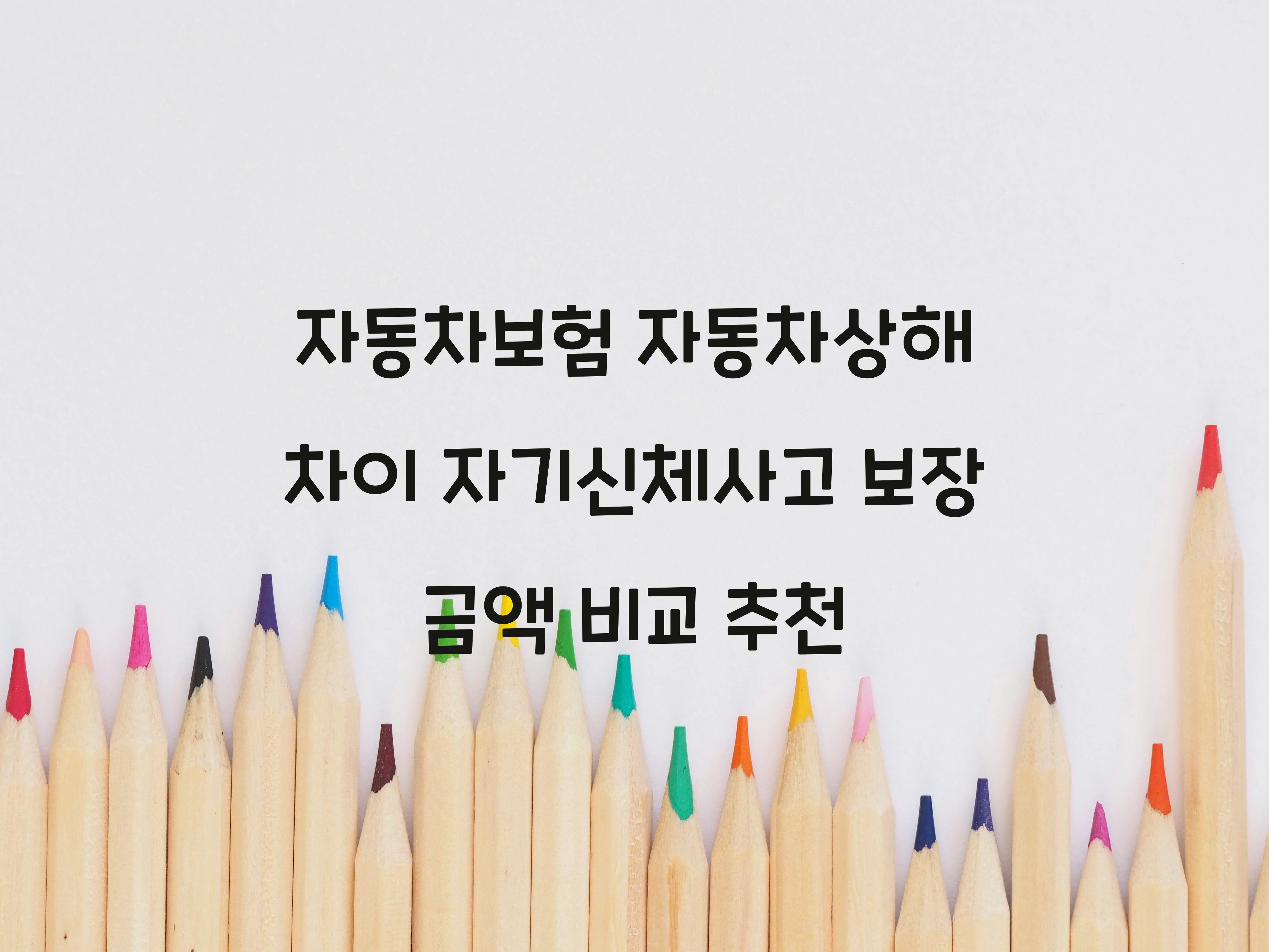 자동차보험 자동차상해 차이