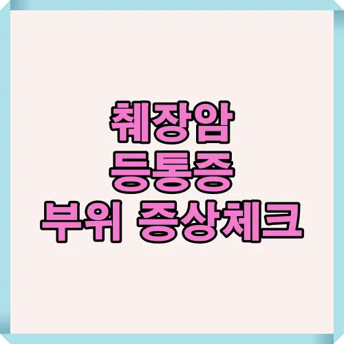 췌장암 등통증 부위를 확인하고 연관 증상까지 점검하는 방법을 정리한 대표 썸네일 이미지