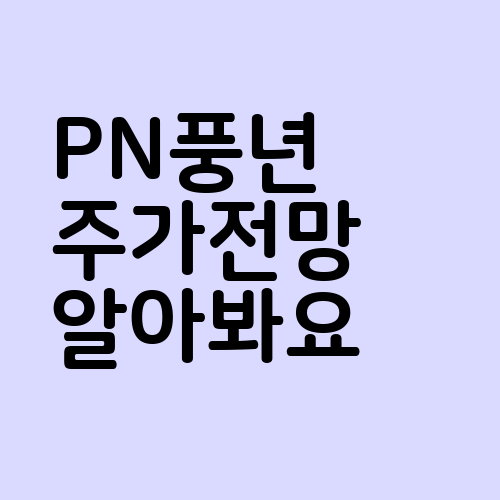 PN풍년
