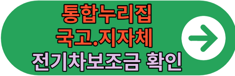 통합누리집 국고 지자체 전기차보조금
