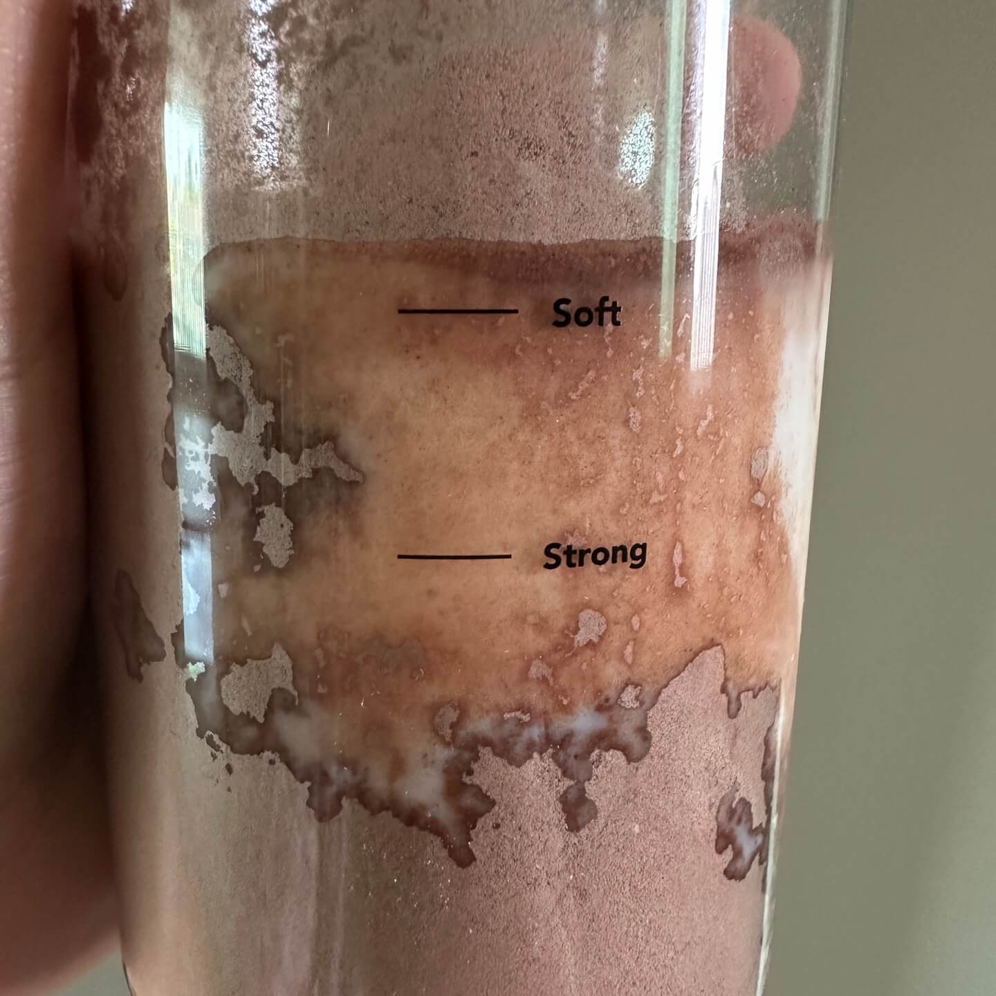 단백질 쉐이크 추천