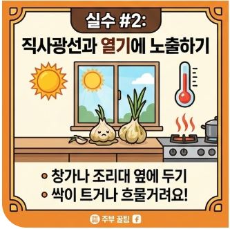 깐마늘 오래보관하는 방법