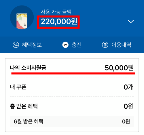 경기지역화폐-충전방법
