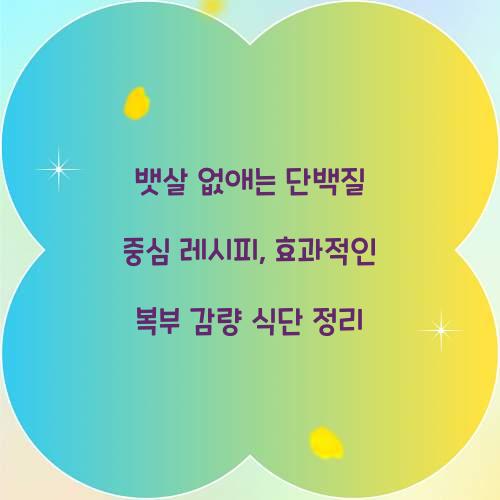 뱃살 없애는 단백질 중심 레시피
