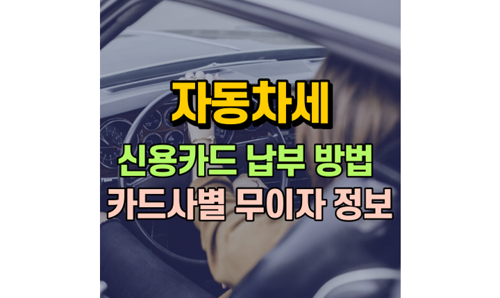 자동차세 신용카드 할부납부 방법 카드 무이자 메인이미지