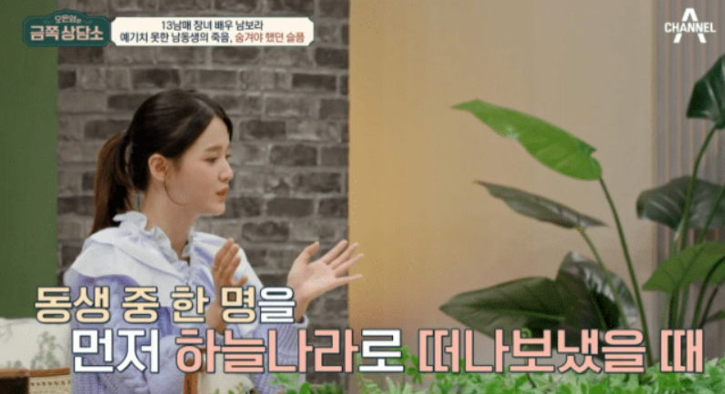 남동생의 자살 사망을 설명하는 남보라씨 모습